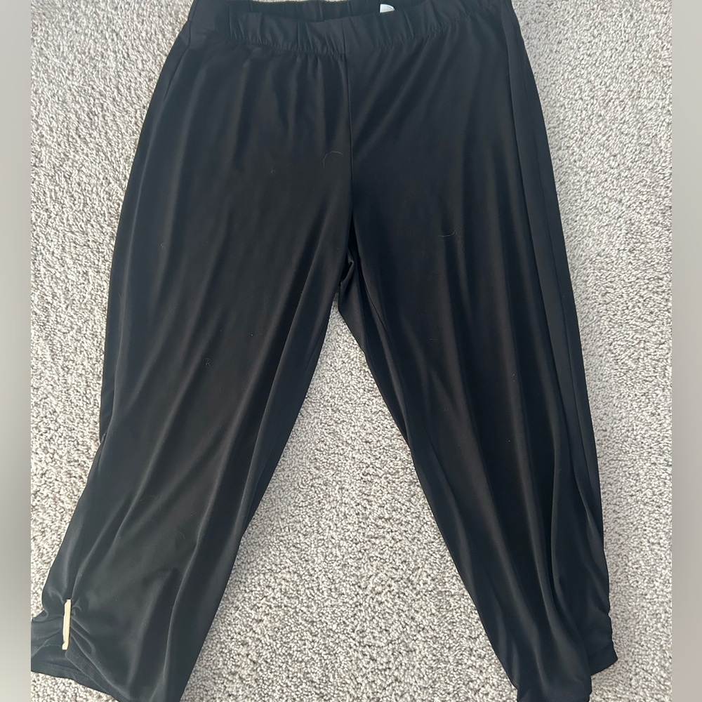 GUC Chico’s crop pants (size 12 = 2)